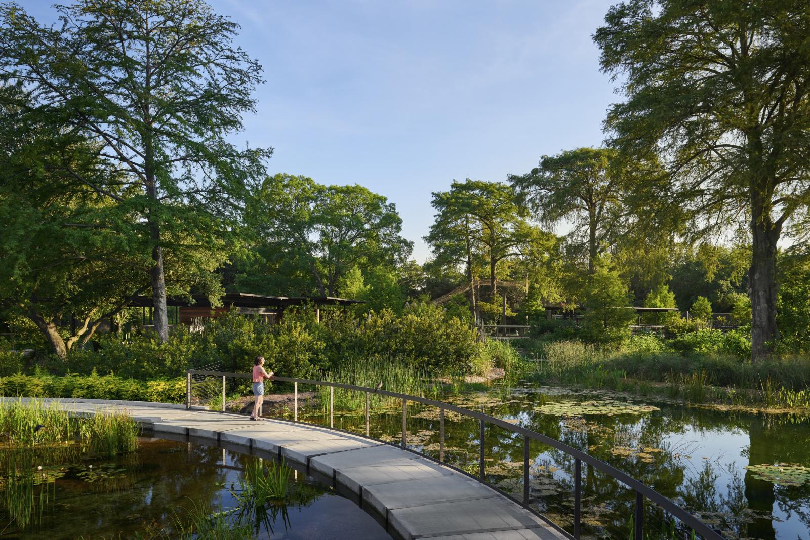 A redesigned front entrance, Cypress Circle Cafe sited along the Zoo’s new multi-species Texas Wetlands habitat creates a new iconic identity and positions the zoo as leaders in conservation and education. Green Restaurant Certified.