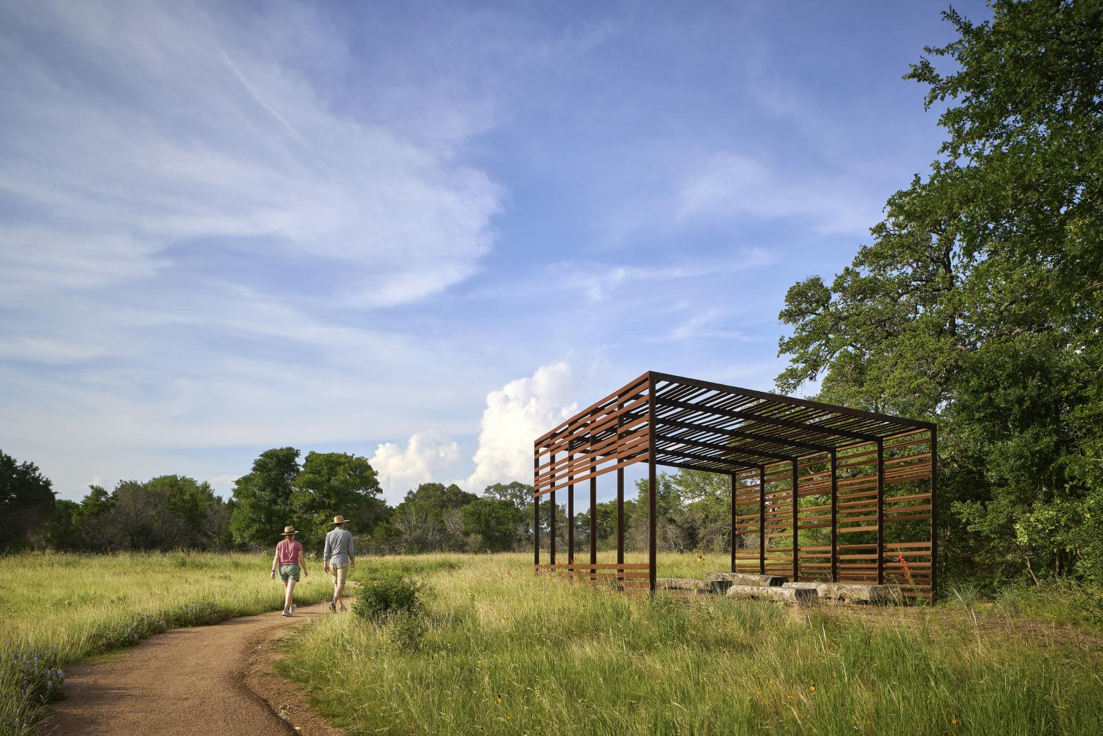 Plant a Wildflower Meadow - Lady Bird Johnson Wildflower Center