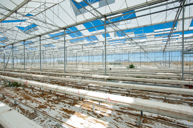 Village Farms Greenhouse, no longer in use