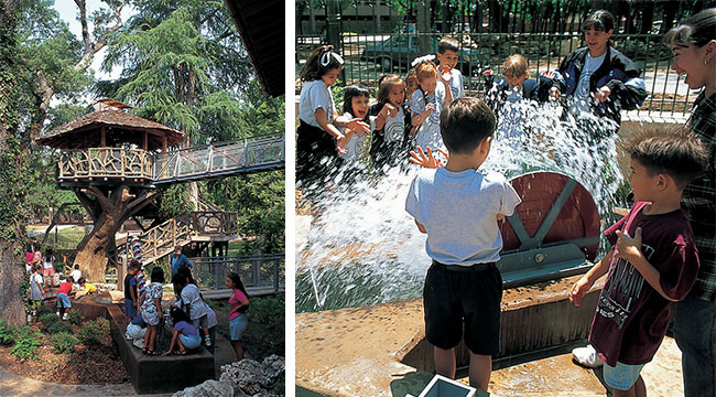 Children in Nature