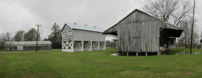 Dockery_Panorama_dogrun