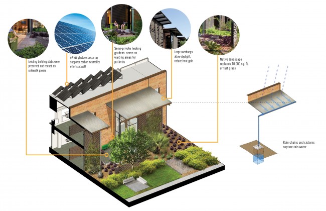 Asu health diagrams