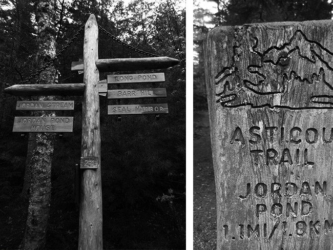 06_Carriage-Road-BW